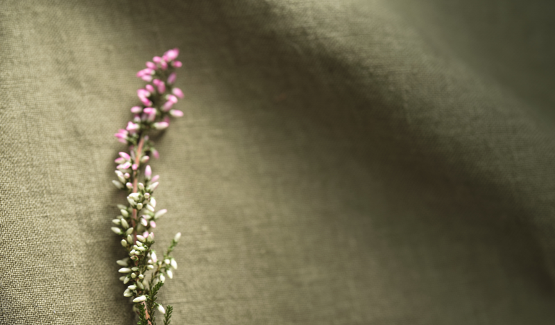 The 2026 Sustainable Chic Edit by Velia Sierra Design